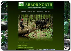 Big Dog Web Design :: Arbor North