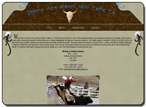 Big Dog Web Design :: Stormy Acre Ranch Mini Cattle Co.